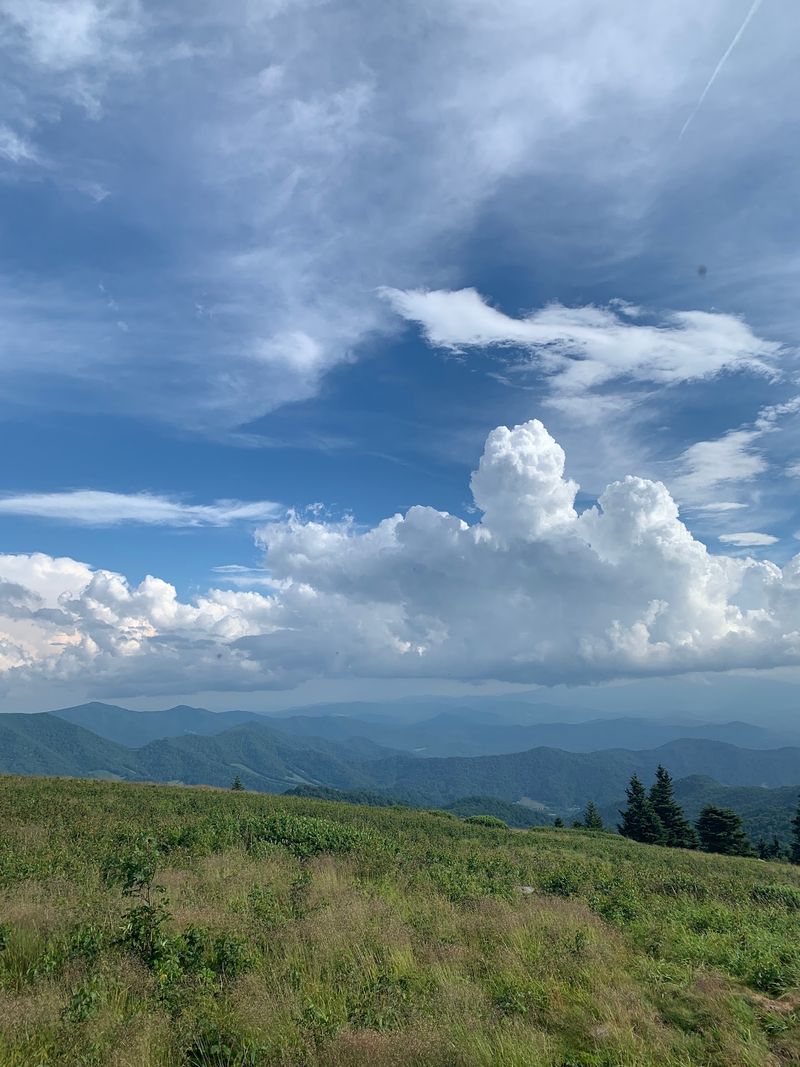 Roan Mountain and Carvers Gap, Roan Mountain Roan Mountain and Carvers Gap, Roan Mountain