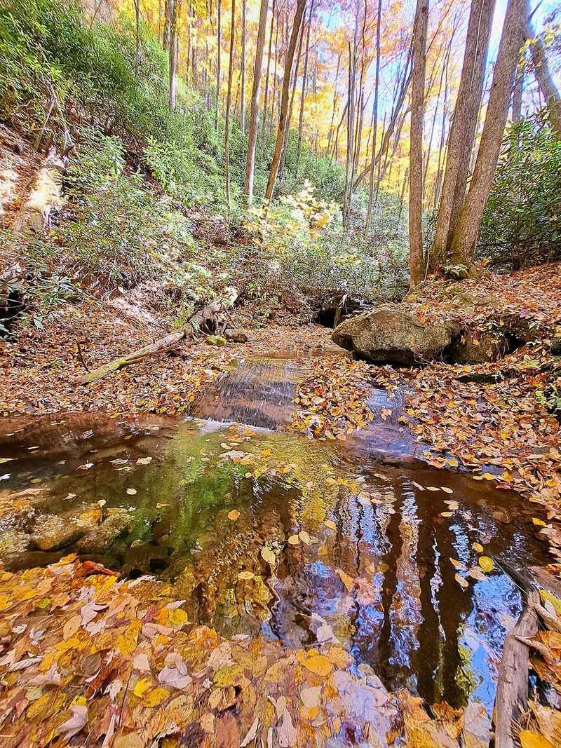 Rock Creek Recreation Area Transforms Into an Autumn Wonderland Rock Creek Recreation Area Transforms Into an Autumn Wonderland