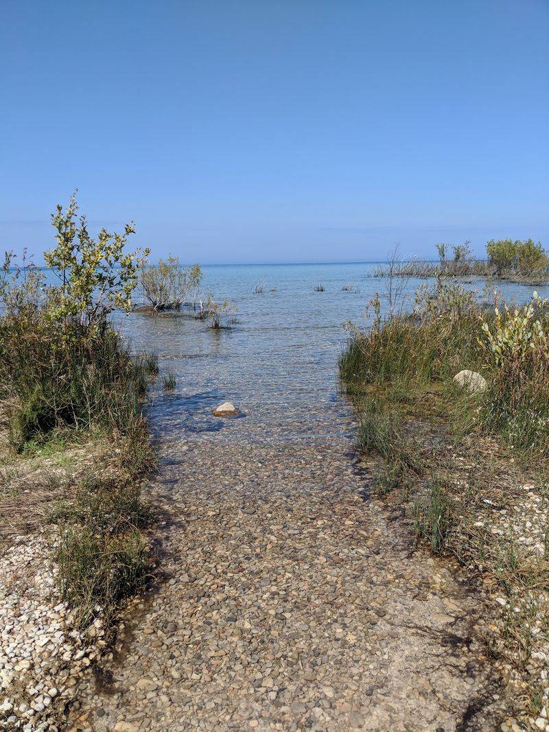 Rocky Shore, Rare Birds, Big Sky Rocky Shore, Rare Birds, Big Sky