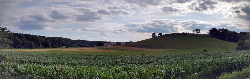 Rolling Farm Views Beyond Town