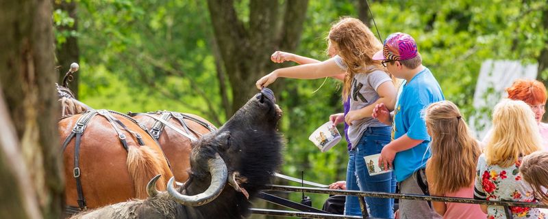 Rolling Hills and Wagon Rides at The Farm at Walnut Creek