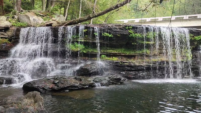 Rope Swing And Cliff Jumping Spots Rope Swing And Cliff Jumping Spots