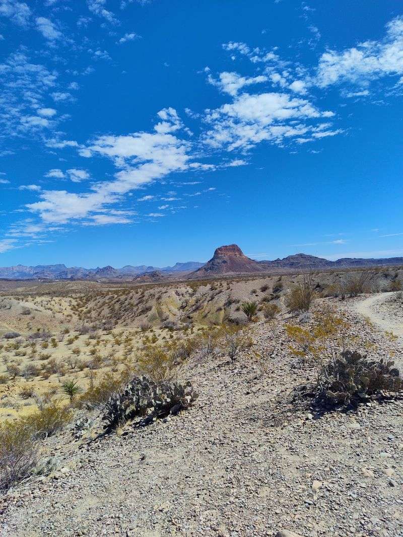 Ross Maxwell Scenic Drive (Big Bend National Park) Ross Maxwell Scenic Drive (Big Bend National Park)