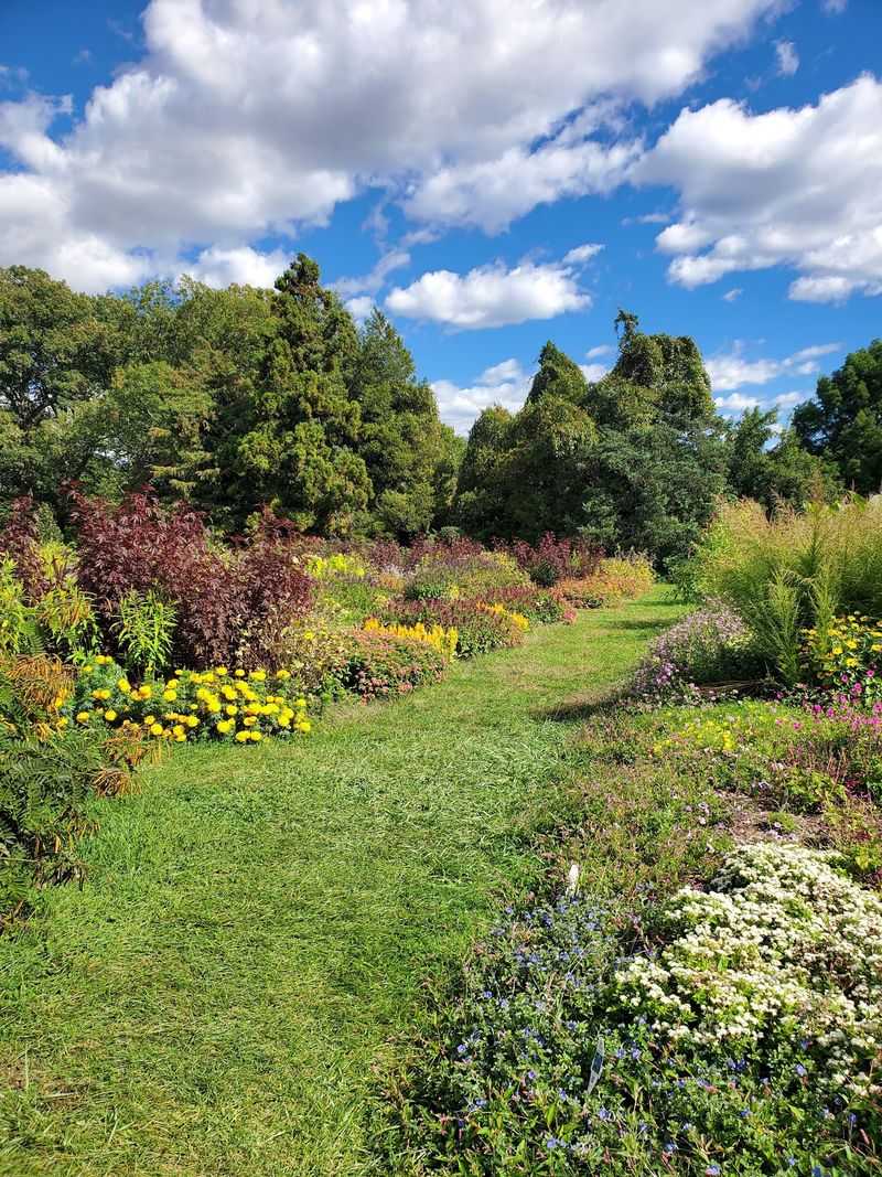 Rutgers Gardens Has More Beyond the Bamboo Rutgers Gardens Has More Beyond the Bamboo