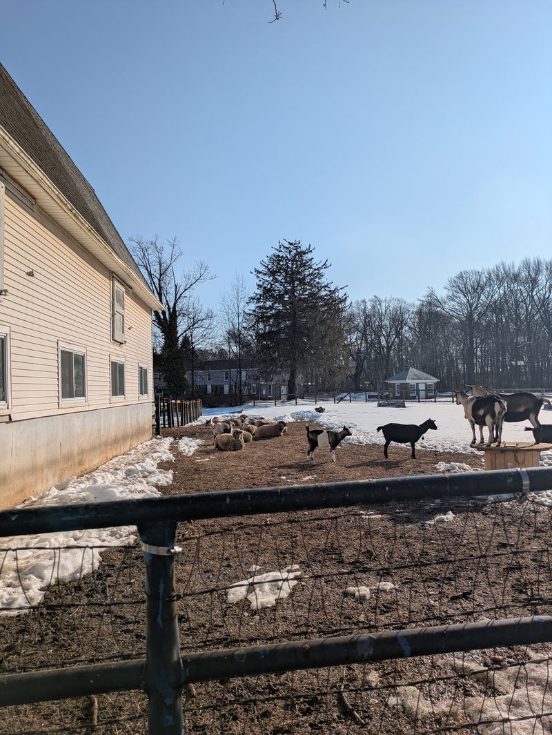 Rutgers University Farm, New Brunswick