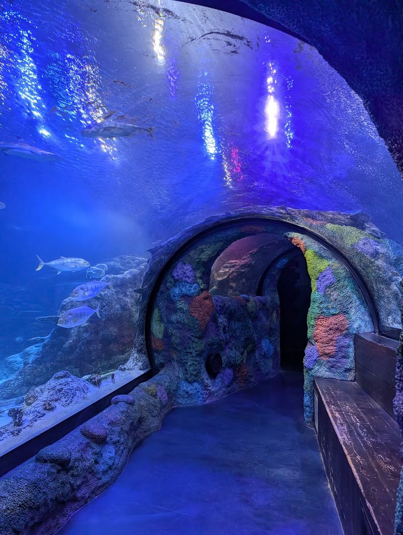 SEA LIFE Michigan Aquarium - Auburn Hills SEA LIFE Michigan Aquarium - Auburn Hills