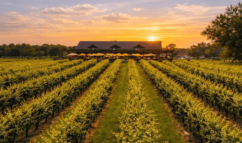 Saddlehill Winery & Farmhouse Kitchen - Voorhees