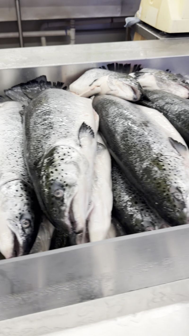 Salmon and Specialty Fish That Expand Your Dinner Options Salmon and Specialty Fish That Expand Your Dinner Options