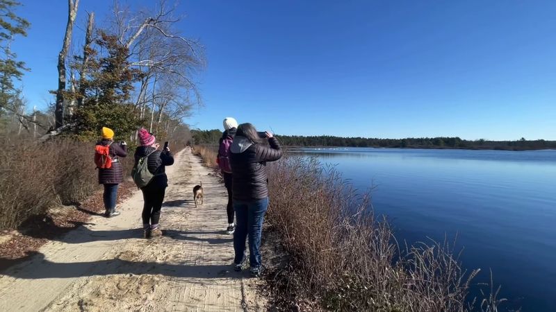 Sandy Trails Wind Past Cranberry Bogs and Quiet Forests