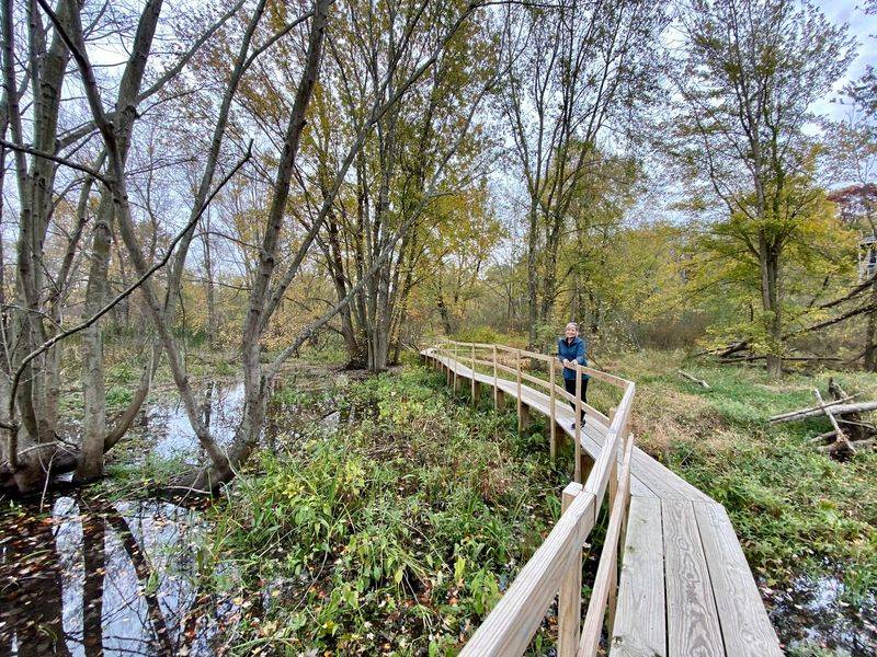 Sarett Nature Center, Benton Harbor: Boardwalk Birding at Eye Level Sarett Nature Center, Benton Harbor: Boardwalk Birding at Eye Level