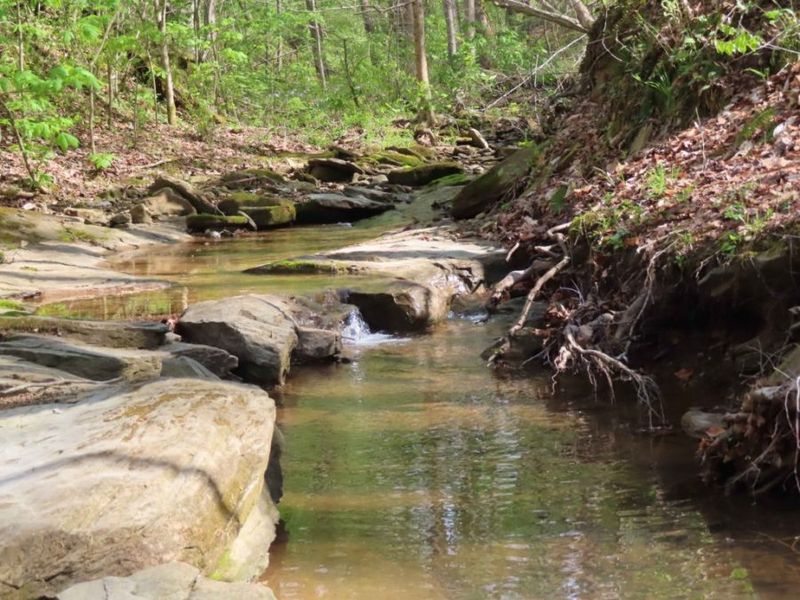 Scenic River and Greenwood Trails at Leith Run Recreation Area, Matamoras Scenic River and Greenwood Trails at Leith Run Recreation Area, Matamoras
