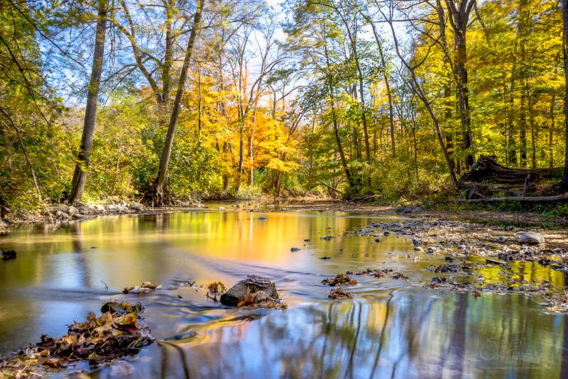 Scenic Spots That Make Photography Effortless Scenic Spots That Make Photography Effortless