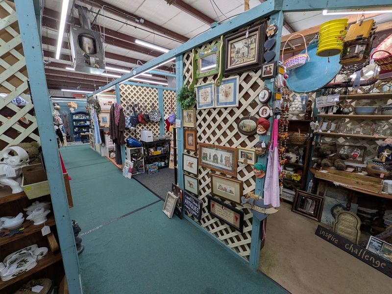 Scranberry Coop - Andover