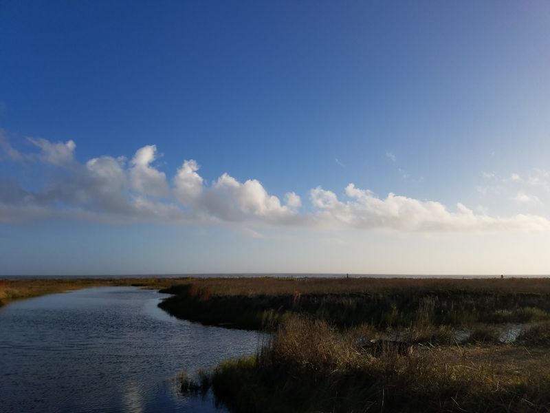 Sea Rim State Park (Sabine Pass)