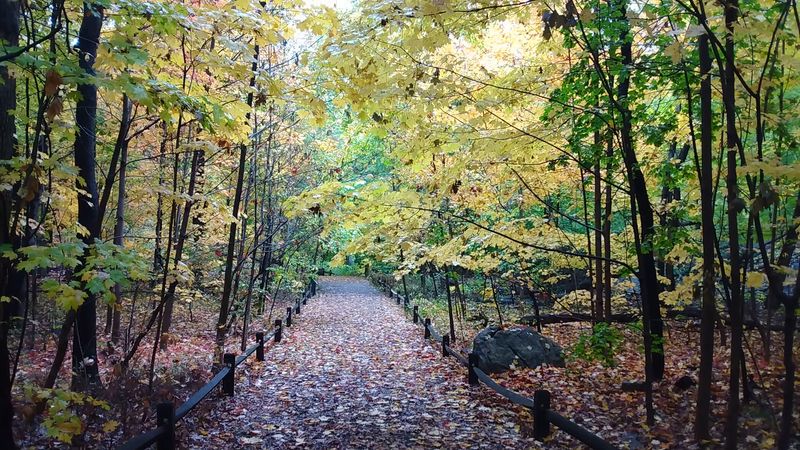 Seasonal Beauty That Changes With Every Visit Seasonal Beauty That Changes With Every Visit