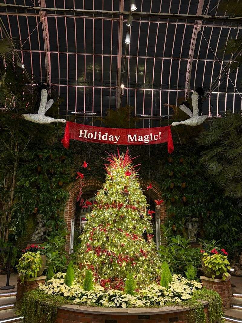 Seasonal Exhibits That Keep Locals Coming Back