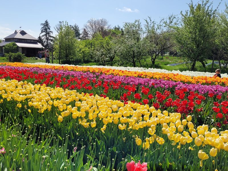 Seasonal Gardens That Keep Changing Seasonal Gardens That Keep Changing