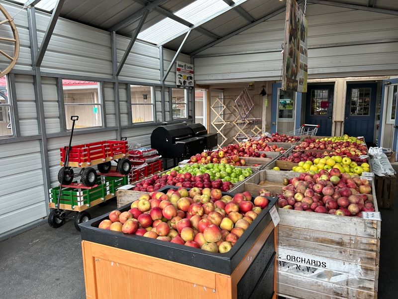 Seasonal Produce That Rewards Good Timing Seasonal Produce That Rewards Good Timing