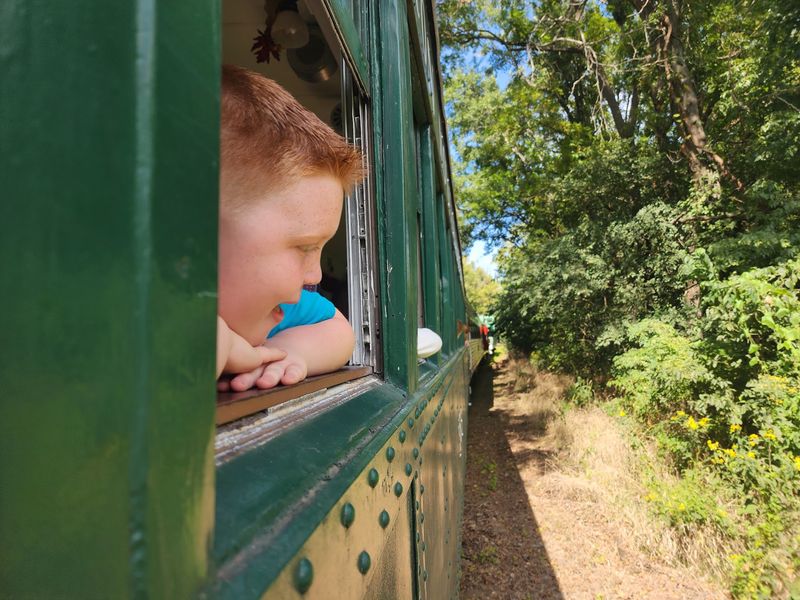 Seasonal Rides That Keep Locals Coming Back