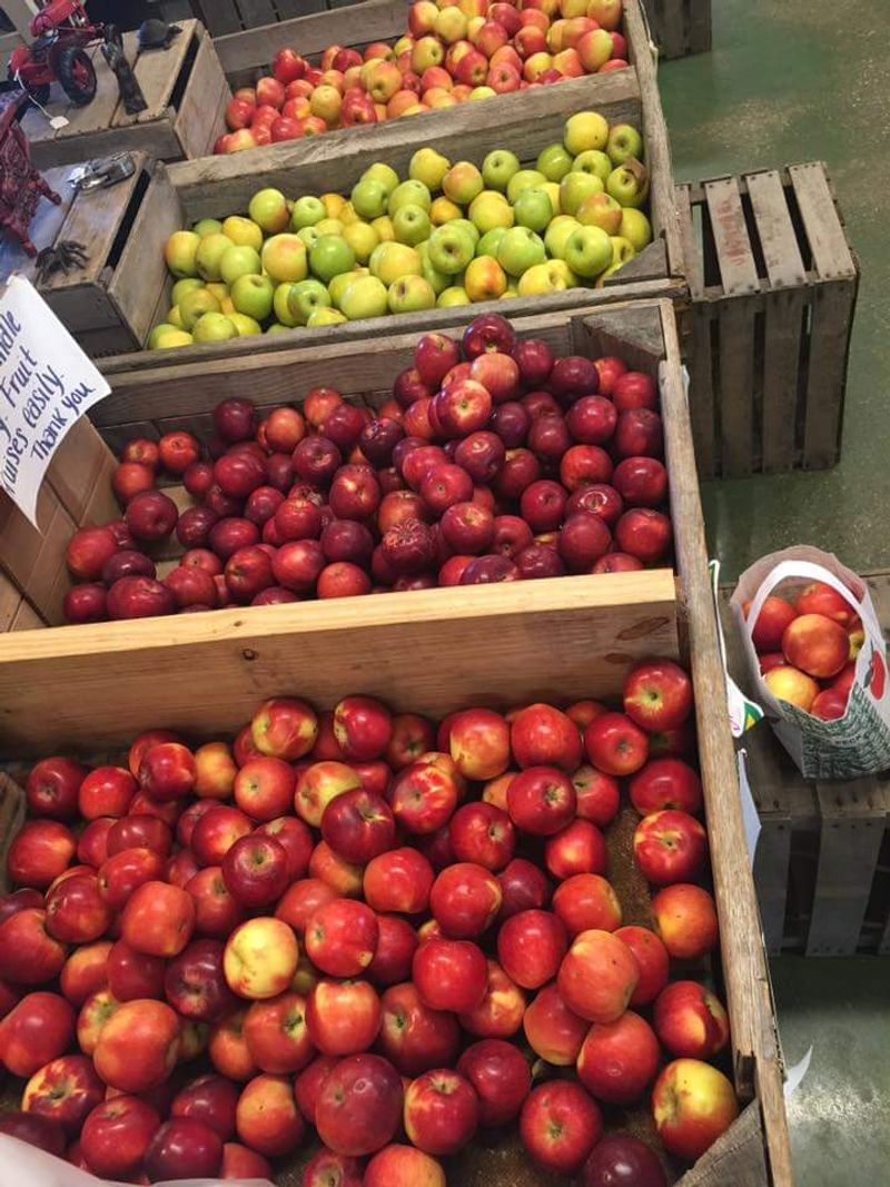 Seasonal apples that keep the trip worth making Seasonal apples that keep the trip worth making