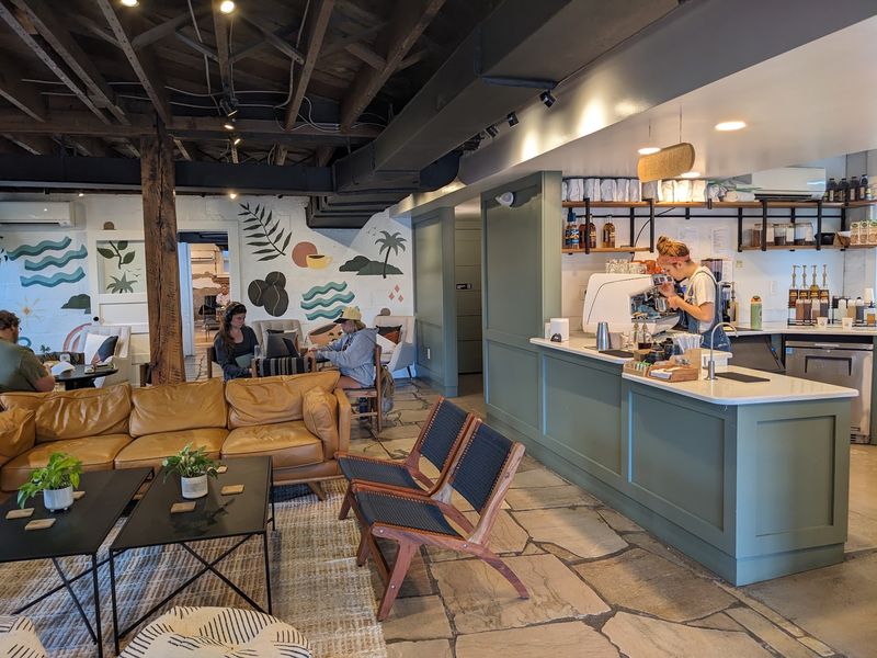 Seed Coffee Co in Knoxville Seed Coffee Co in Knoxville