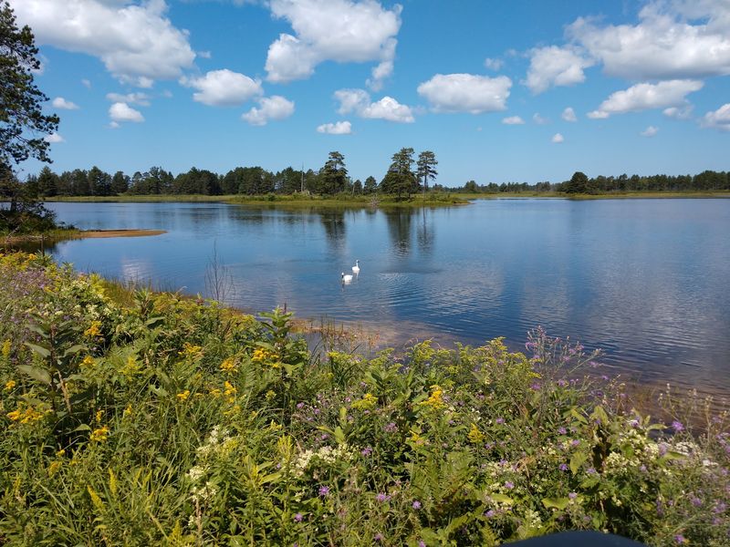 Seney National Wildlife Refuge, Seney: Loon Calls Across Endless Pools Seney National Wildlife Refuge, Seney: Loon Calls Across Endless Pools