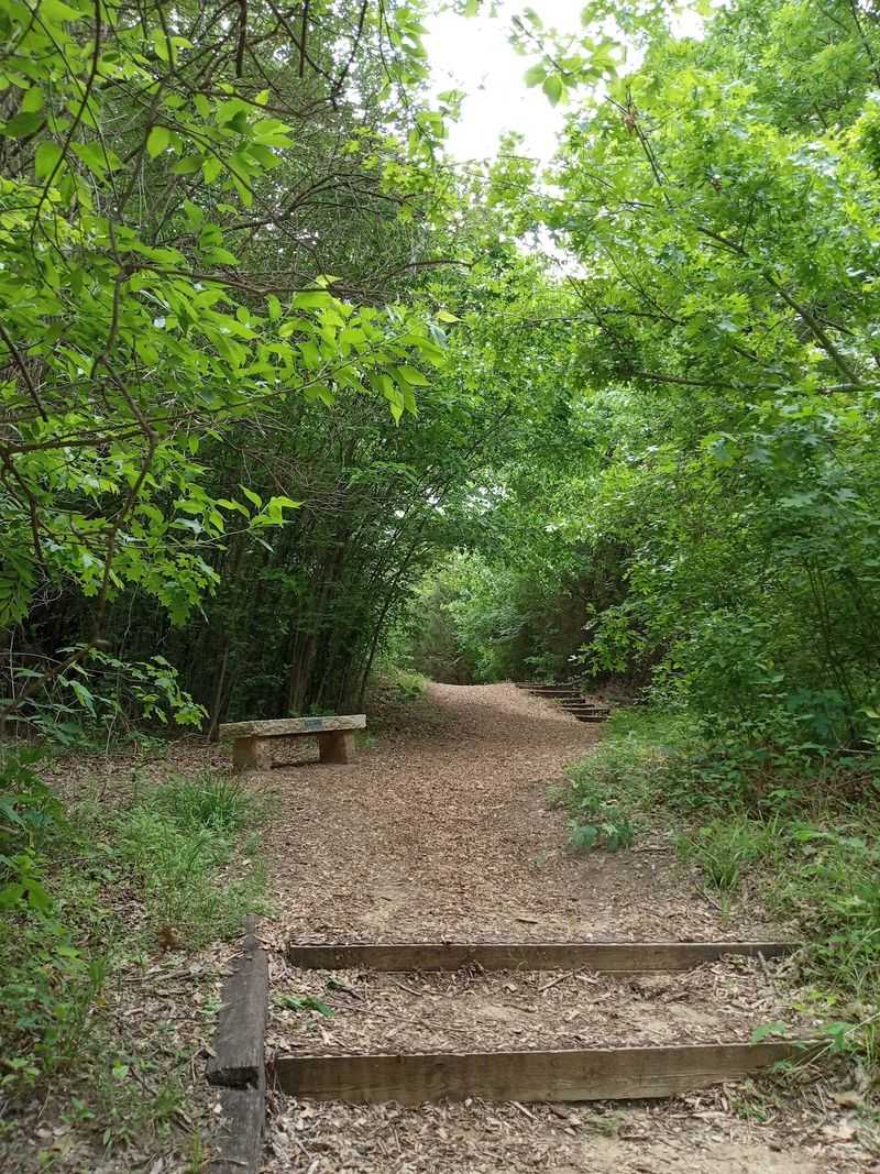 Shade That Saves Hot Texas Days