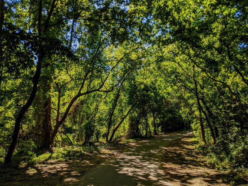 Shaded Canopy That Beats the Texas Heat