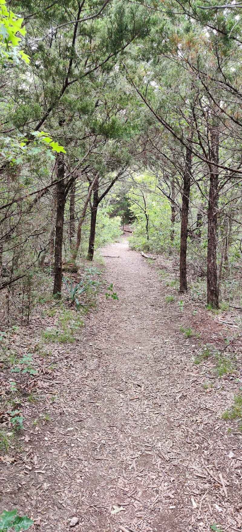 Shadow Figures Along the Escarpment Trail