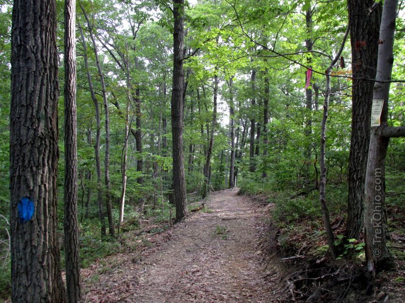 Shawnee State Forest Day Hike Trail, West Portsmouth Shawnee State Forest Day Hike Trail, West Portsmouth