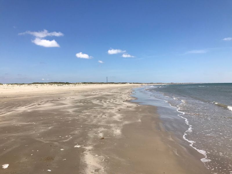 Shell Collecting Along the Shoreline