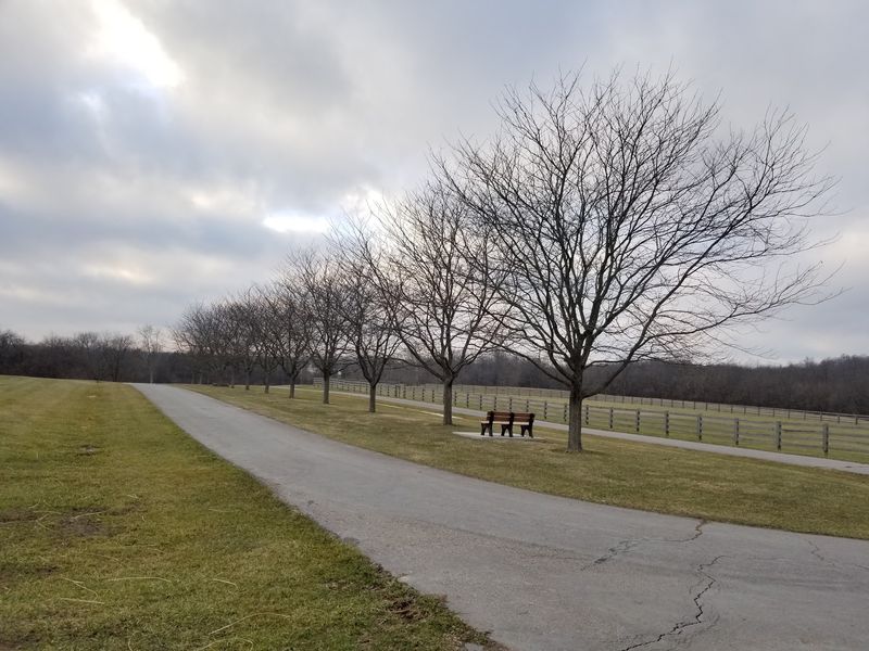 Shelter Houses and Indoor Facilities for Events and Gatherings