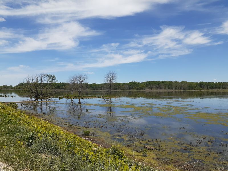Shiawassee National Wildlife Refuge, Saginaw: Michigan's Everglades by Car Shiawassee National Wildlife Refuge, Saginaw: Michigan's Everglades by Car