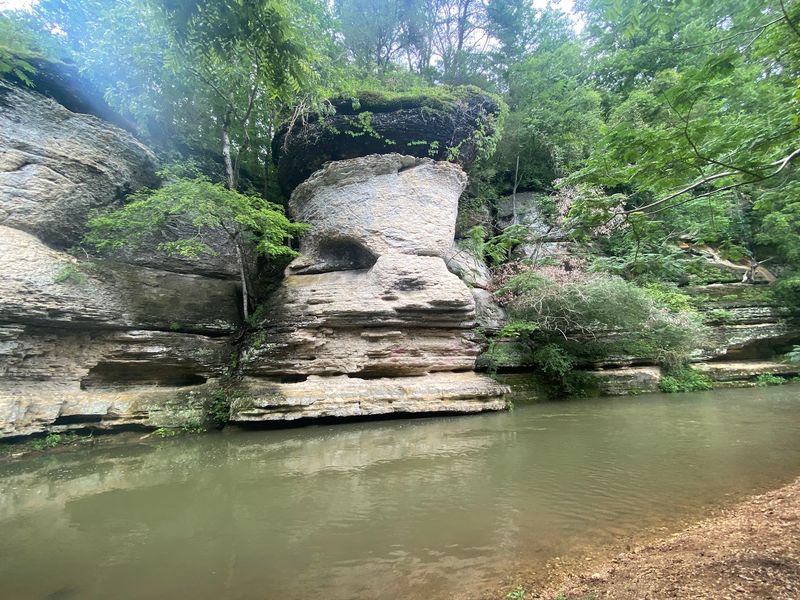 Shoal Creek