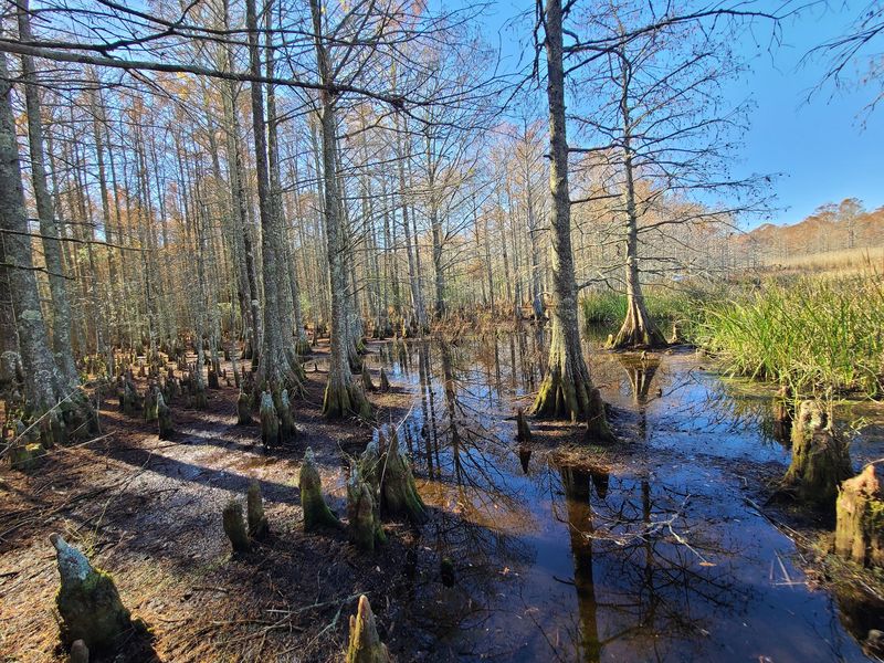Short Trails Offer A Closer Look Short Trails Offer A Closer Look
