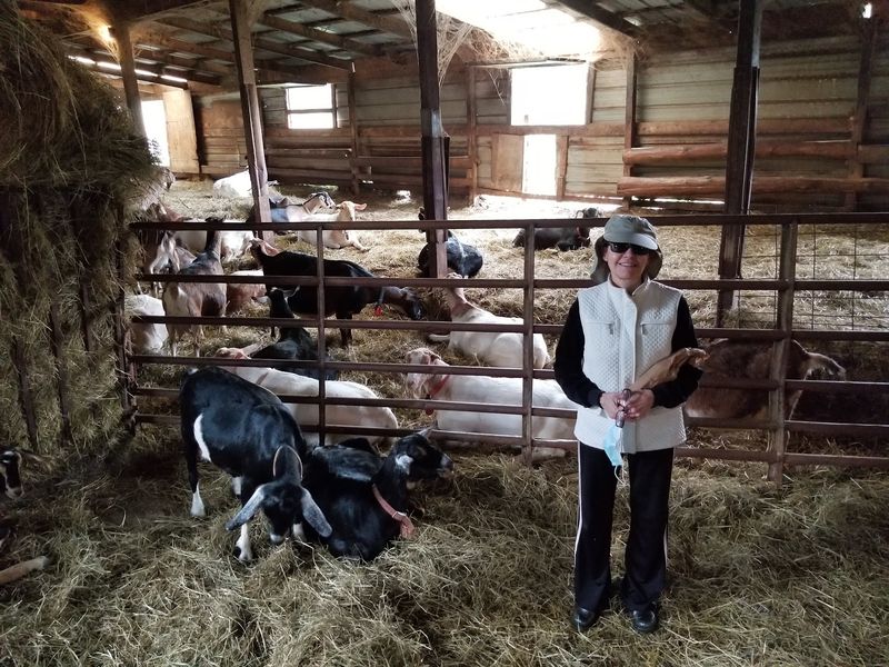 Side Hill Acres Goat Farm