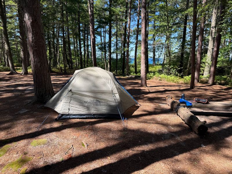 Six Sites, More Space, Less Noise
