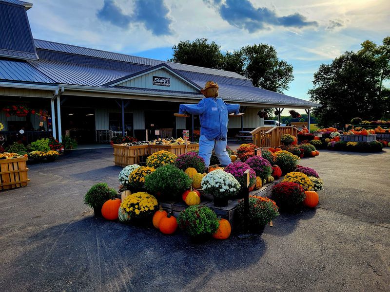 Skelly's Farm Market Skelly's Farm Market