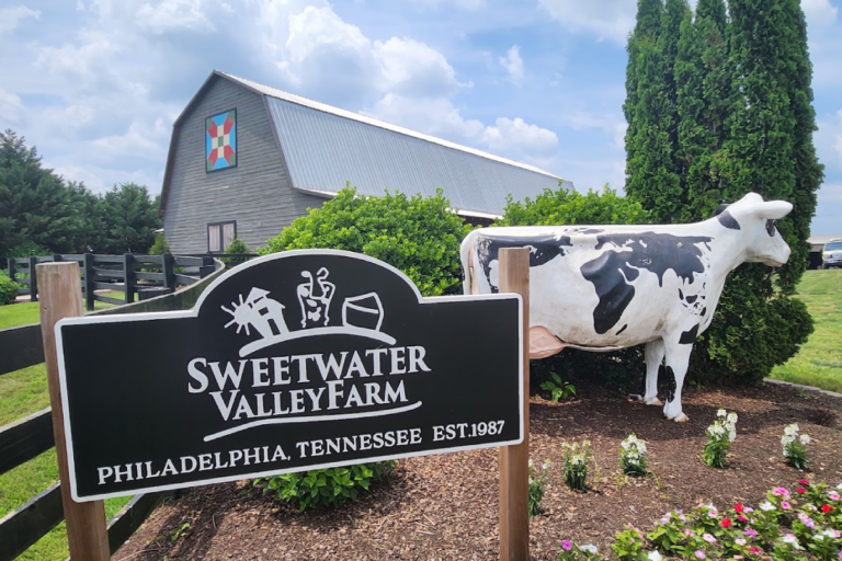 Skip the Grocery Store: 10 Tennessee Farms That Sell Fresh Milk, Cheese and Butter