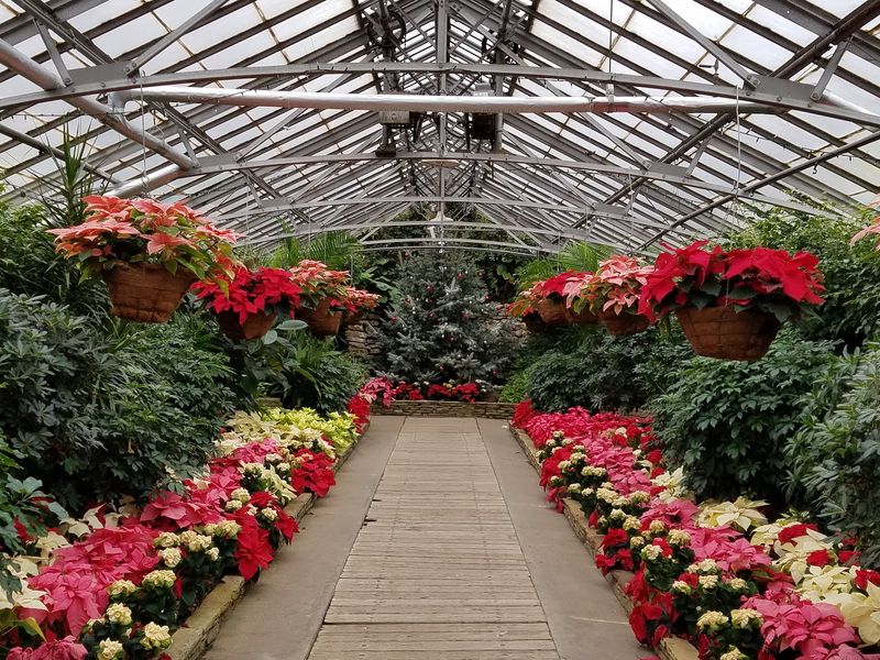Slovak Garden