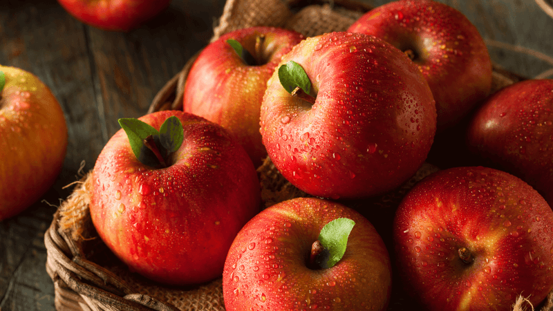 Smicksburg Apple Festival - Smicksburg