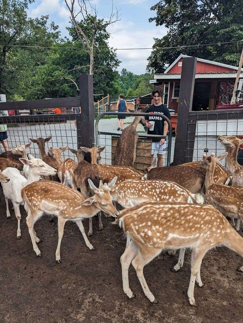 Smoky Mountain Deer Farm and Exotic Petting Zoo, Sevierville Smoky Mountain Deer Farm and Exotic Petting Zoo, Sevierville