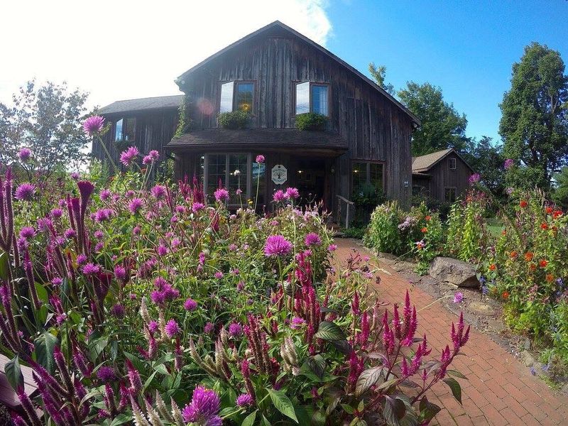 Solebury Orchards - New Hope
