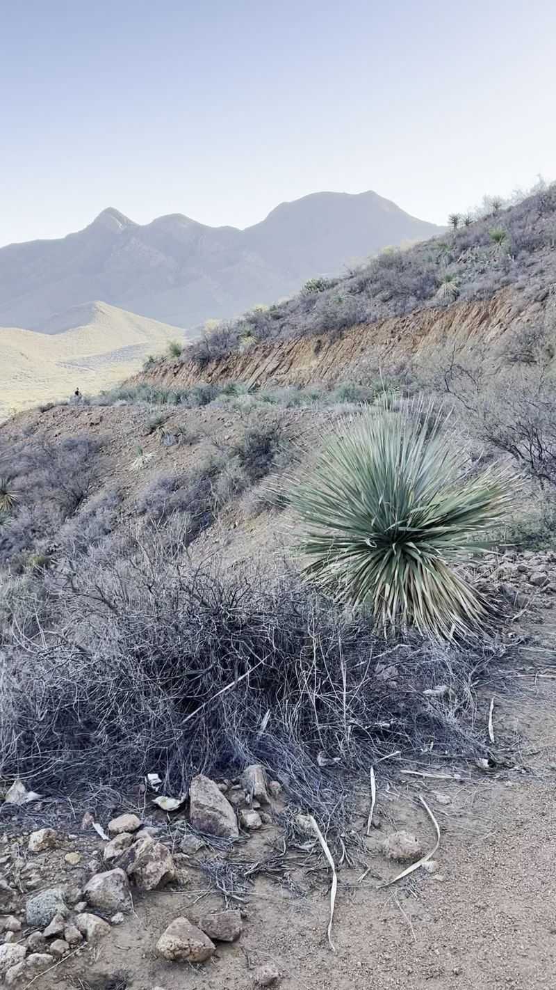 Spectacular Desert Views Along The Way