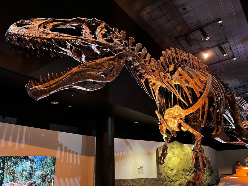 Spend A Day In The Houston Museum District