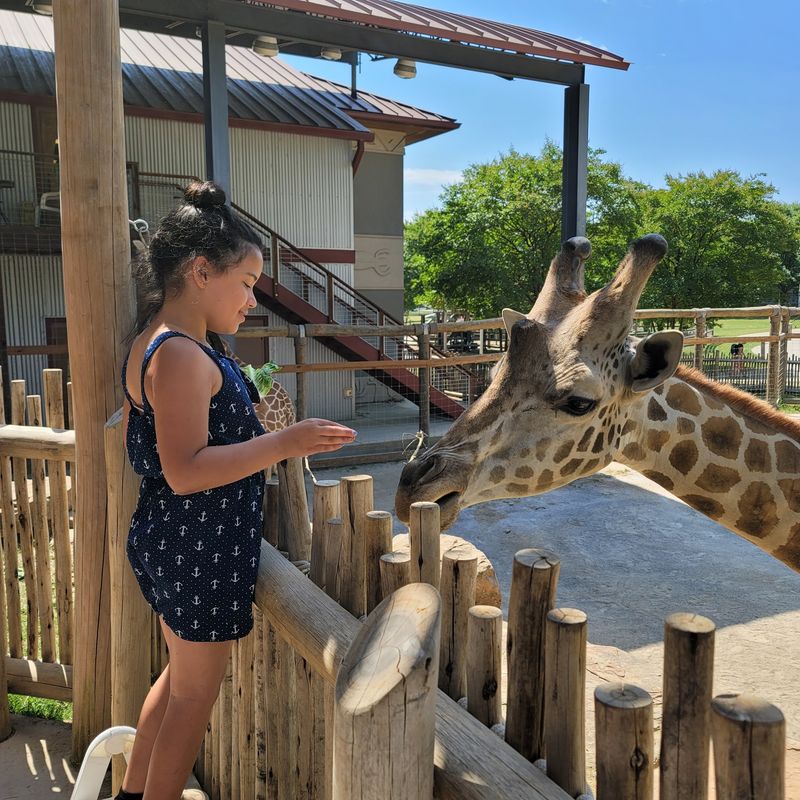 Spend the Day at Chattanooga Zoo Spend the Day at Chattanooga Zoo
