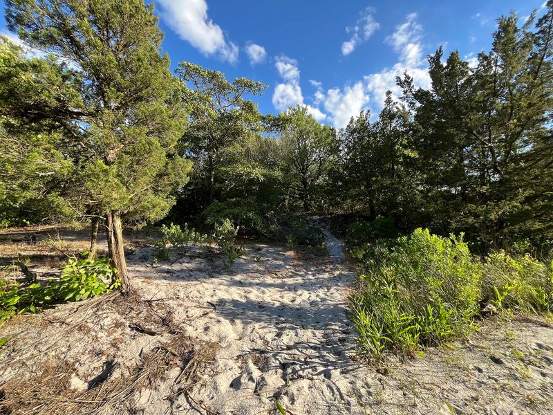 Spizzle Creek Trail - Island Beach State Park, Berkeley Township Spizzle Creek Trail - Island Beach State Park, Berkeley Township