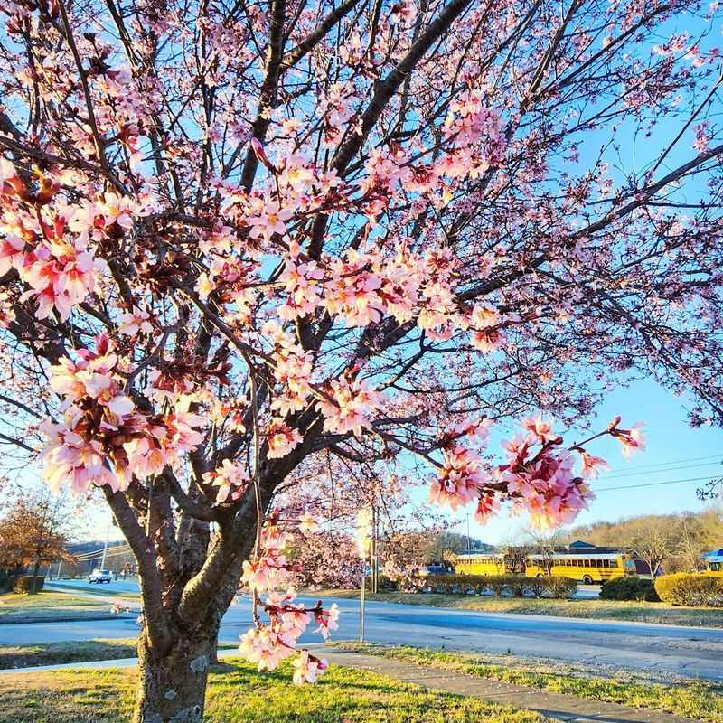 Spring Hill Spring Hill