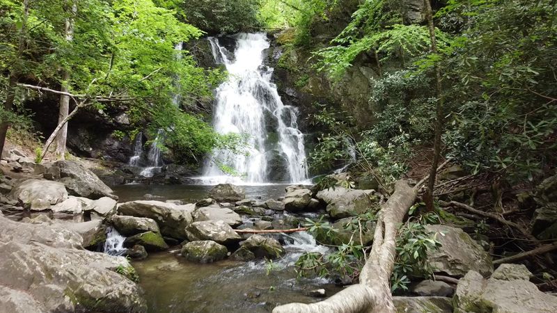 Spruce Flats Falls - Townsend