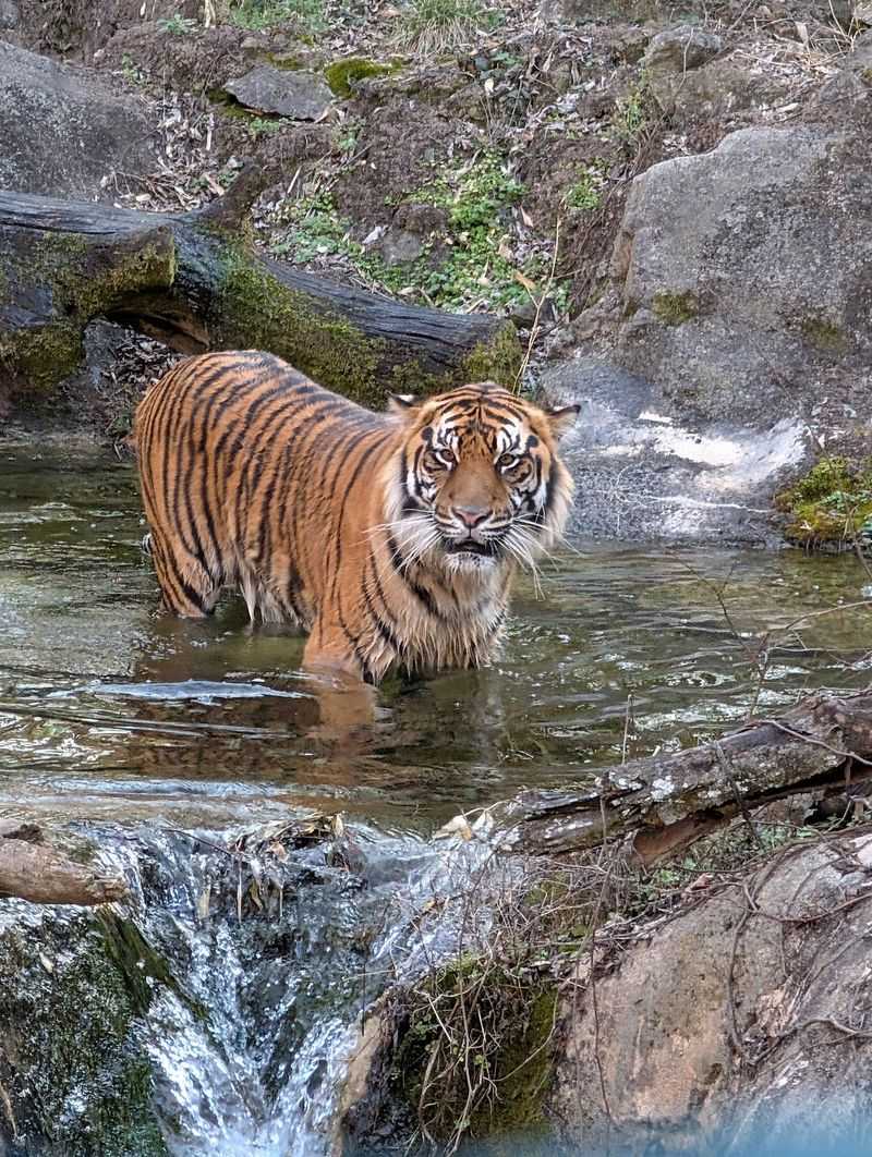 Start With the Zoo's Most Popular Animal Exhibits Start With the Zoo's Most Popular Animal Exhibits